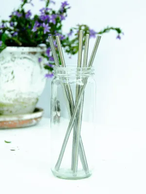 5 Pack Stainless Steel Straw Set