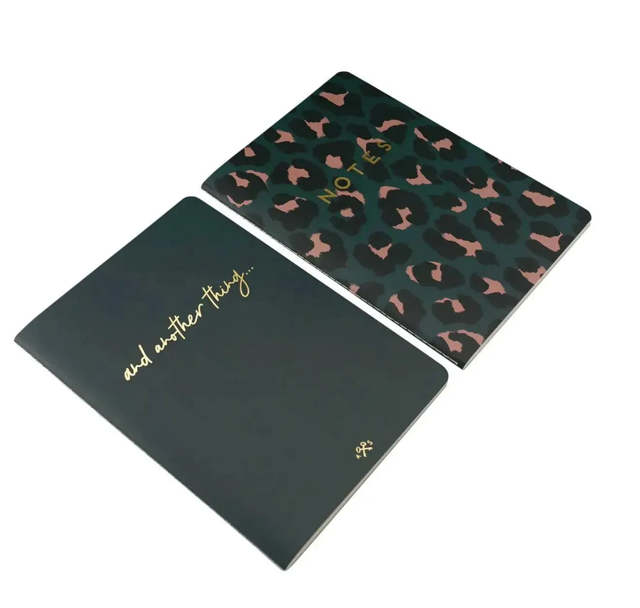 Alice Scott Notebooks