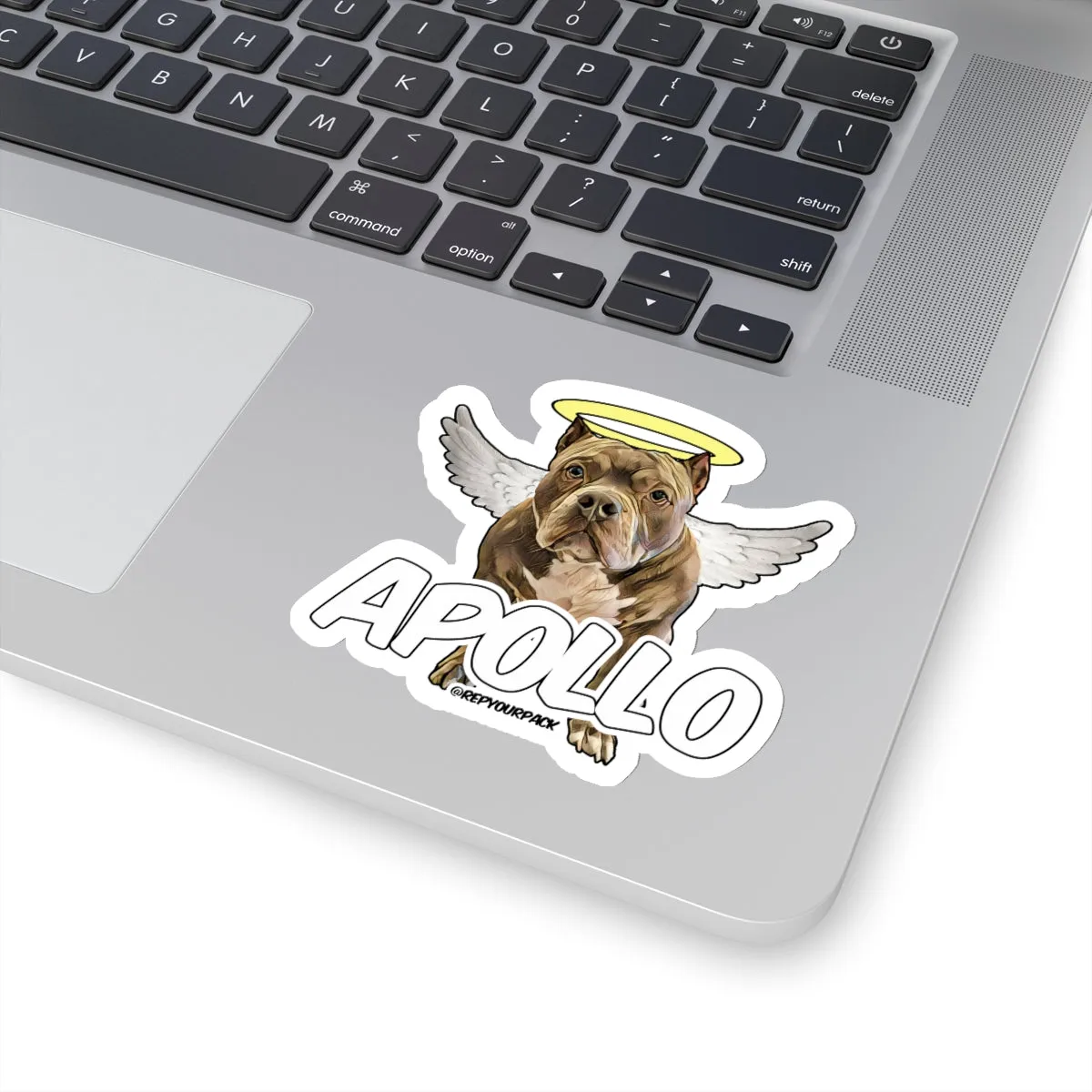 Apollo Angel Wings 2 Stickers