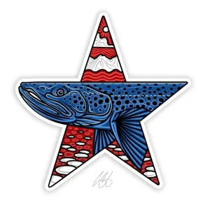 CASEY UNDERWOOD STAR BROWN STICKER