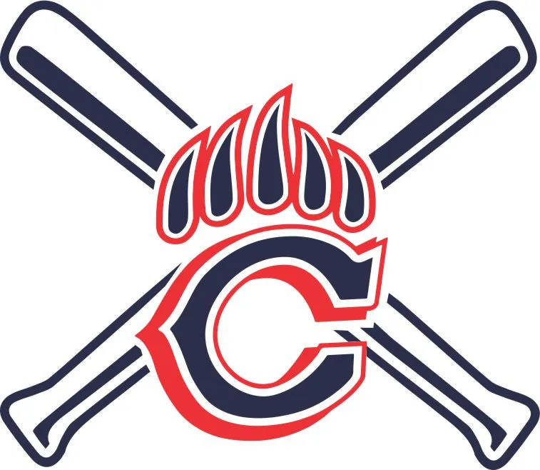 Chap Baseball Helmet Sticker