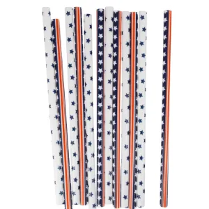 Classic Stars and Stripes Reusable Straws - Set of 12