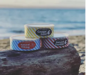 Cougar Gold Tin Candles