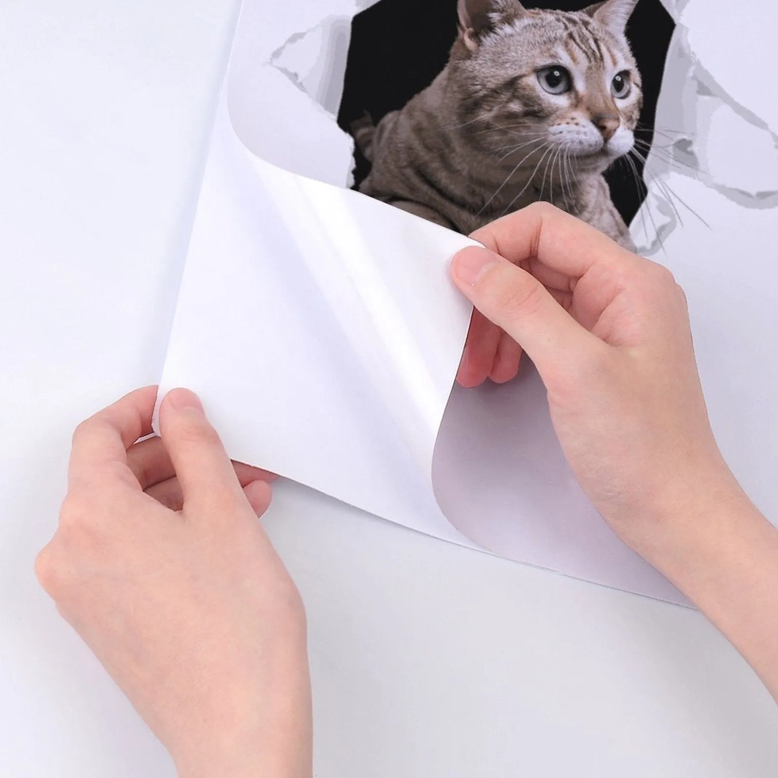 Custom Pet Photo Hole Car Decal Sticker Removable Waterproof Car Window Decal(2PCS)