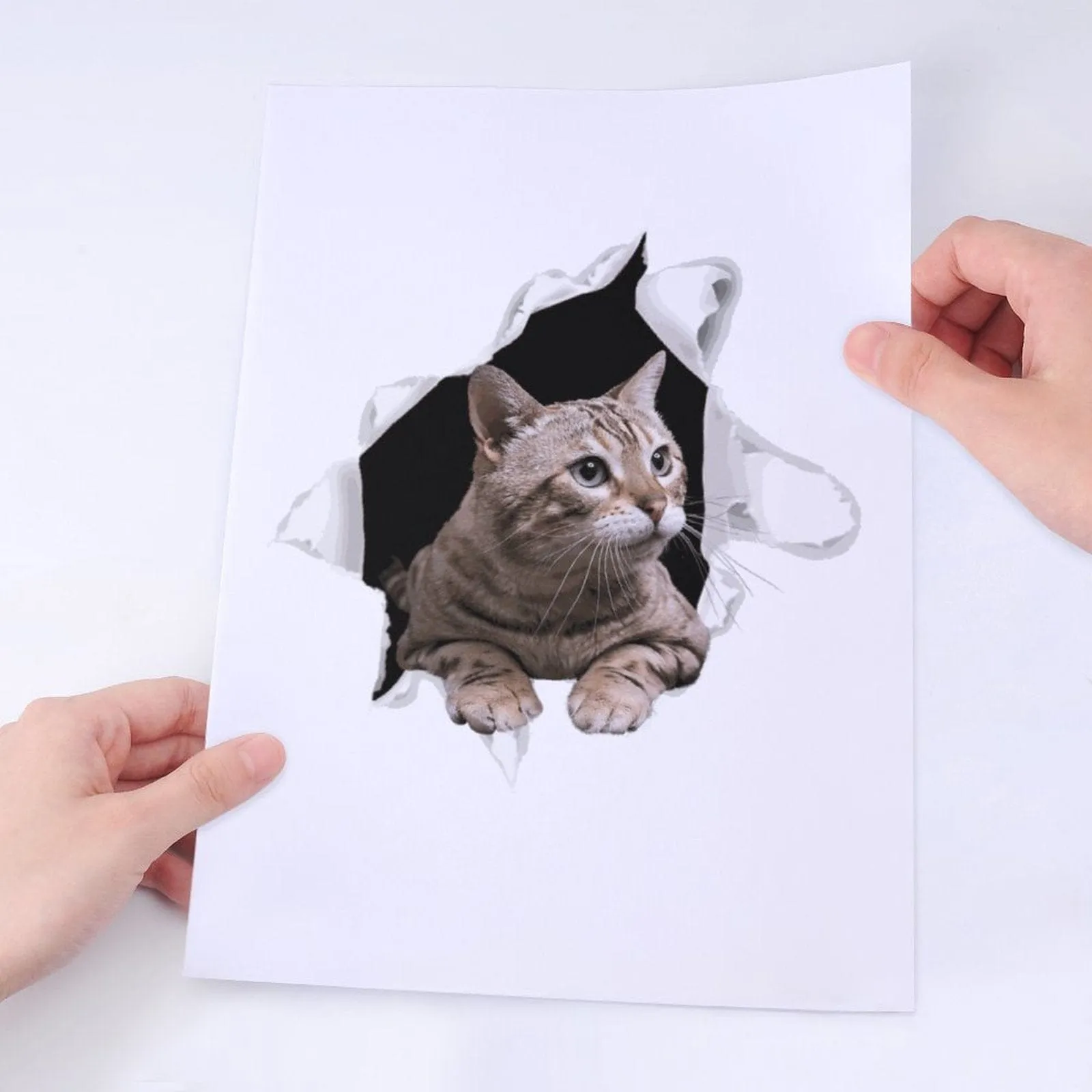 Custom Pet Photo Hole Car Decal Sticker Removable Waterproof Car Window Decal(2PCS)