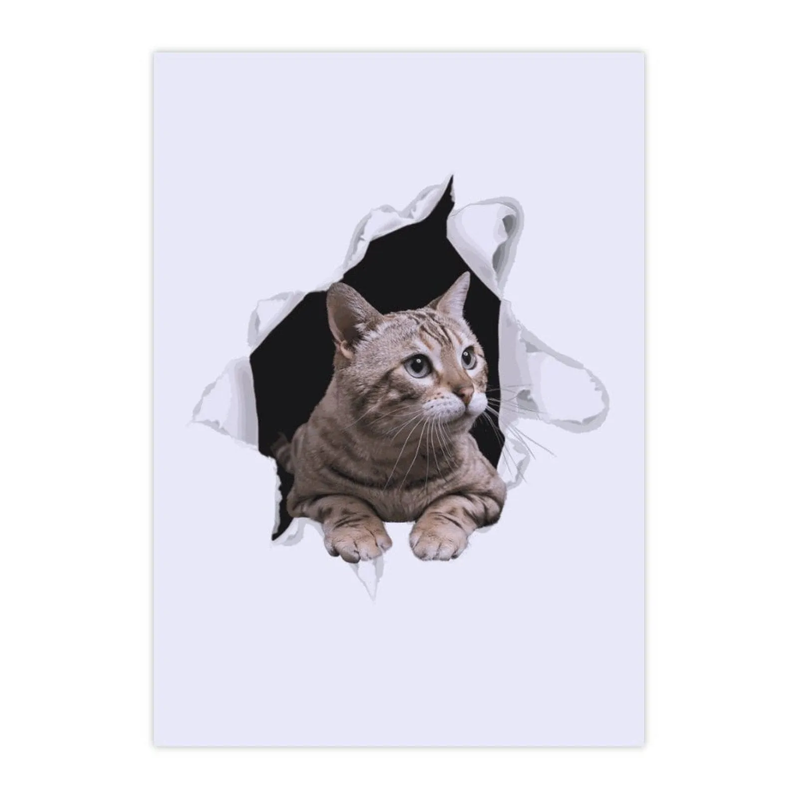 Custom Pet Photo Hole Car Decal Sticker Removable Waterproof Car Window Decal(2PCS)