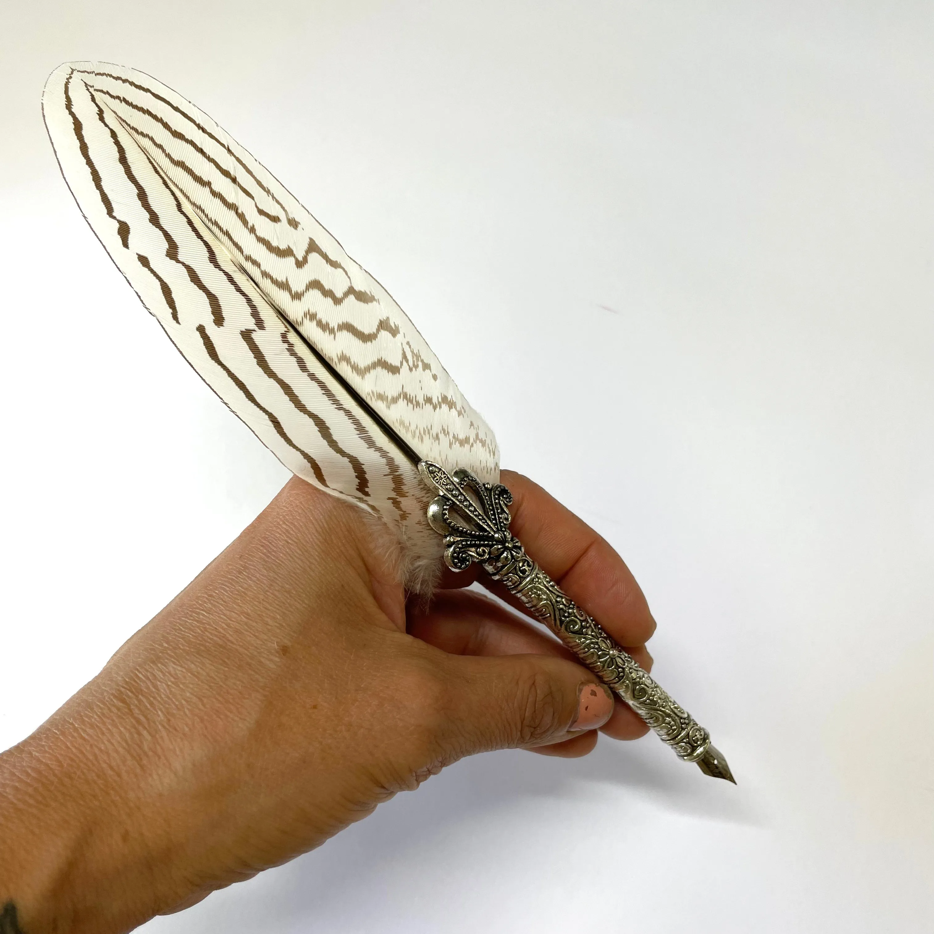 Deluxe Gift Boxed Retro Feather Calligraphy Dip Quill Pen - Natural Silver Pheasant (PEN ONLY)
