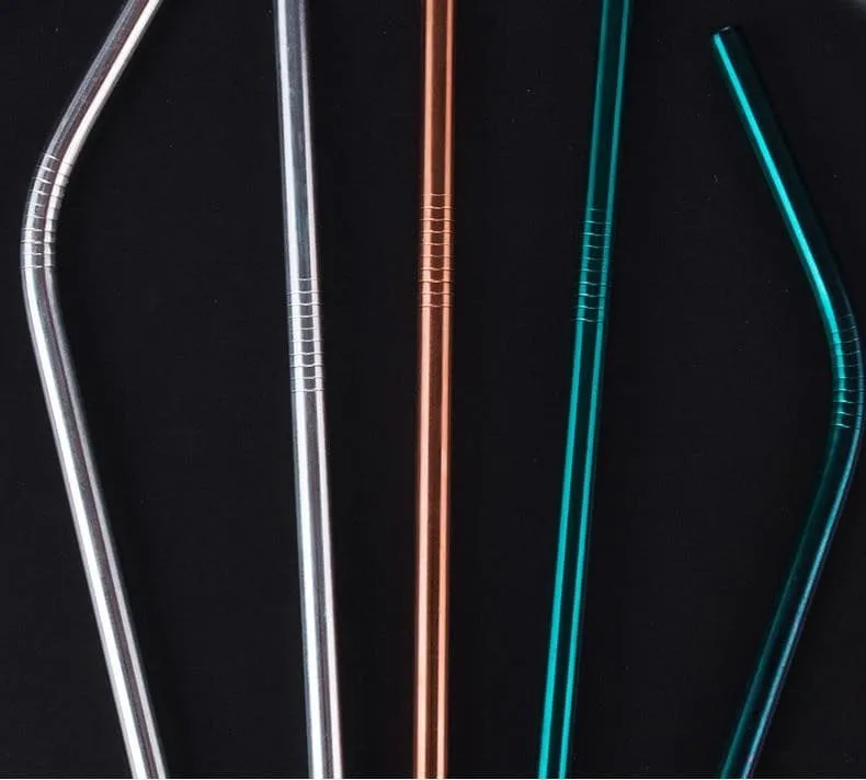 Eco Stainless Steel Straw