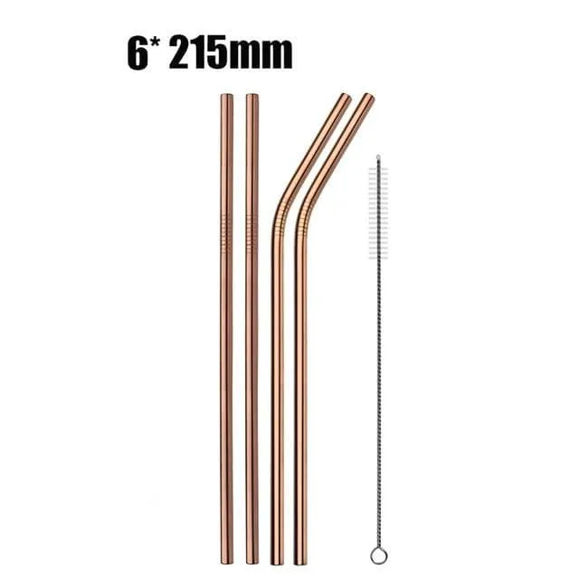 Eco Stainless Steel Straw