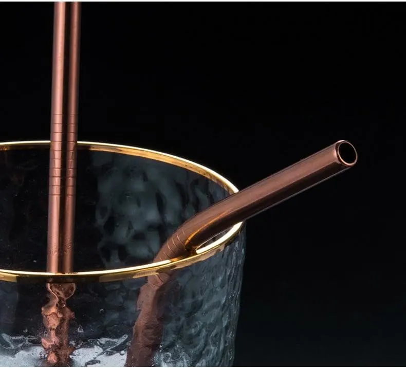 Eco Stainless Steel Straw