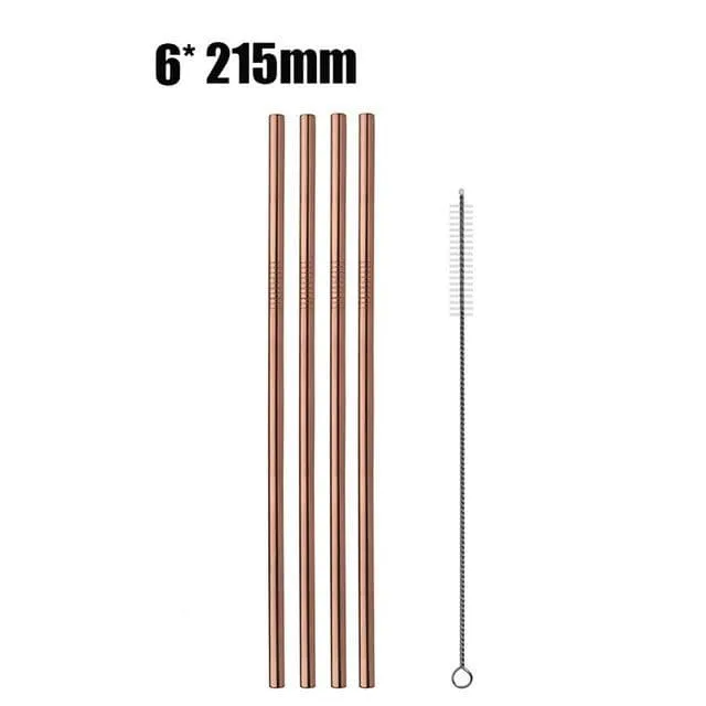 Eco Stainless Steel Straw