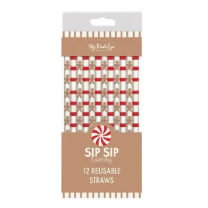 Gingerbread Reusable Straws - Set of 12