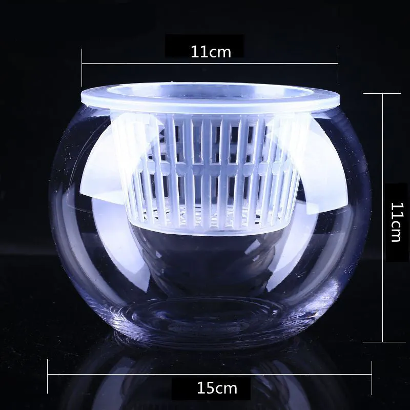 Glass Hydroponic Plant Pots