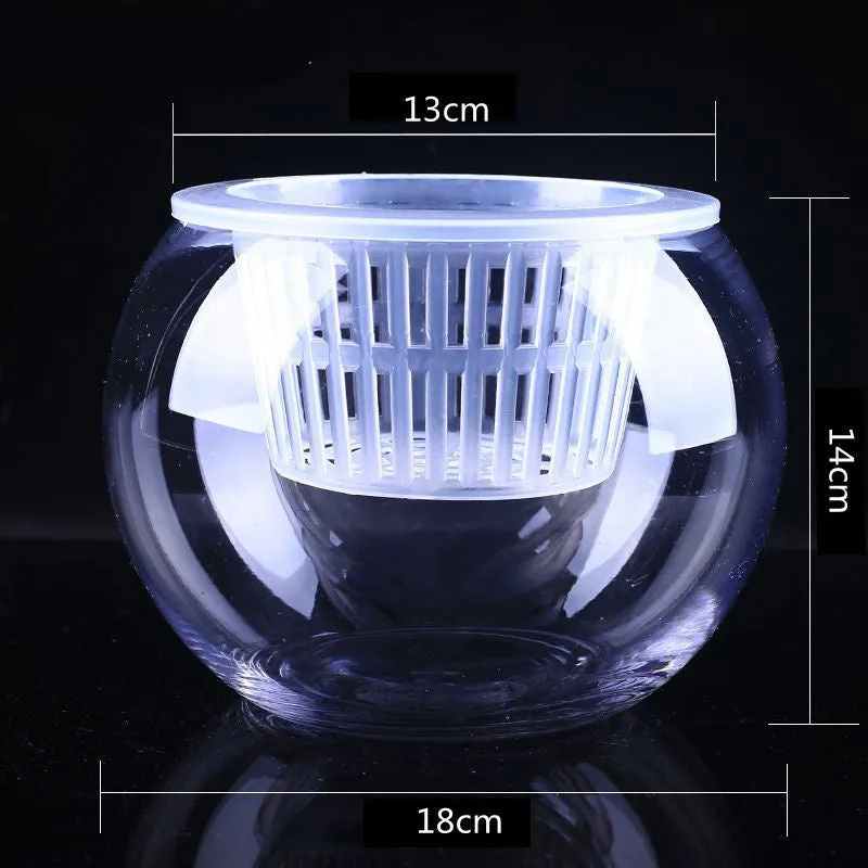 Glass Hydroponic Plant Pots
