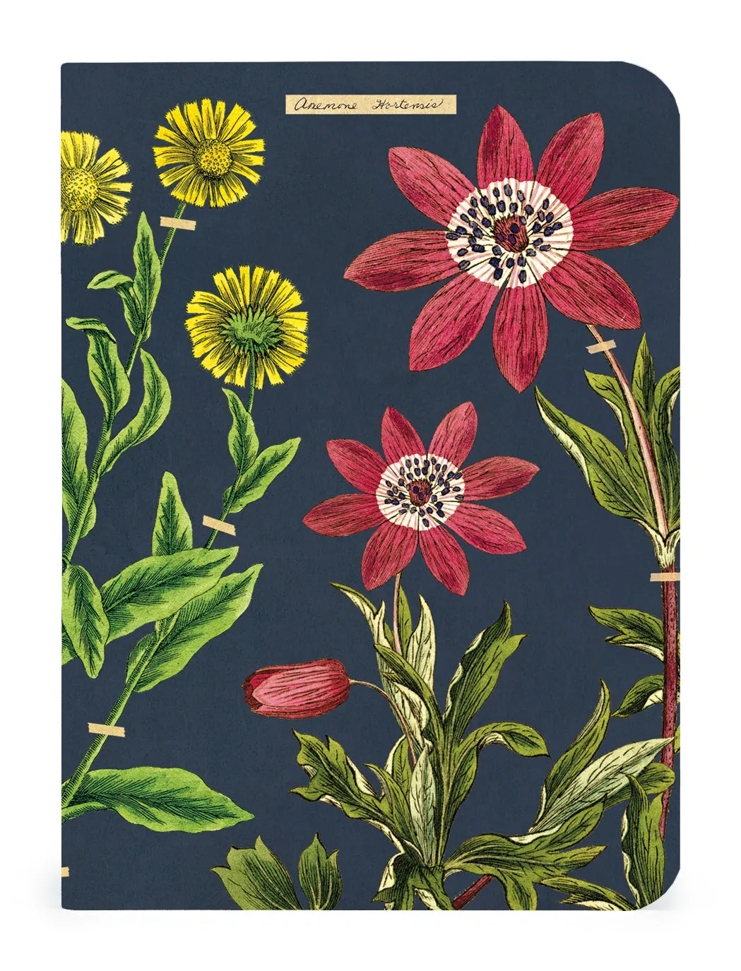 Herbarium 3 Mini Notebooks
