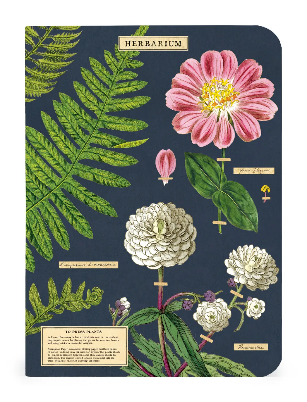 Herbarium 3 Mini Notebooks