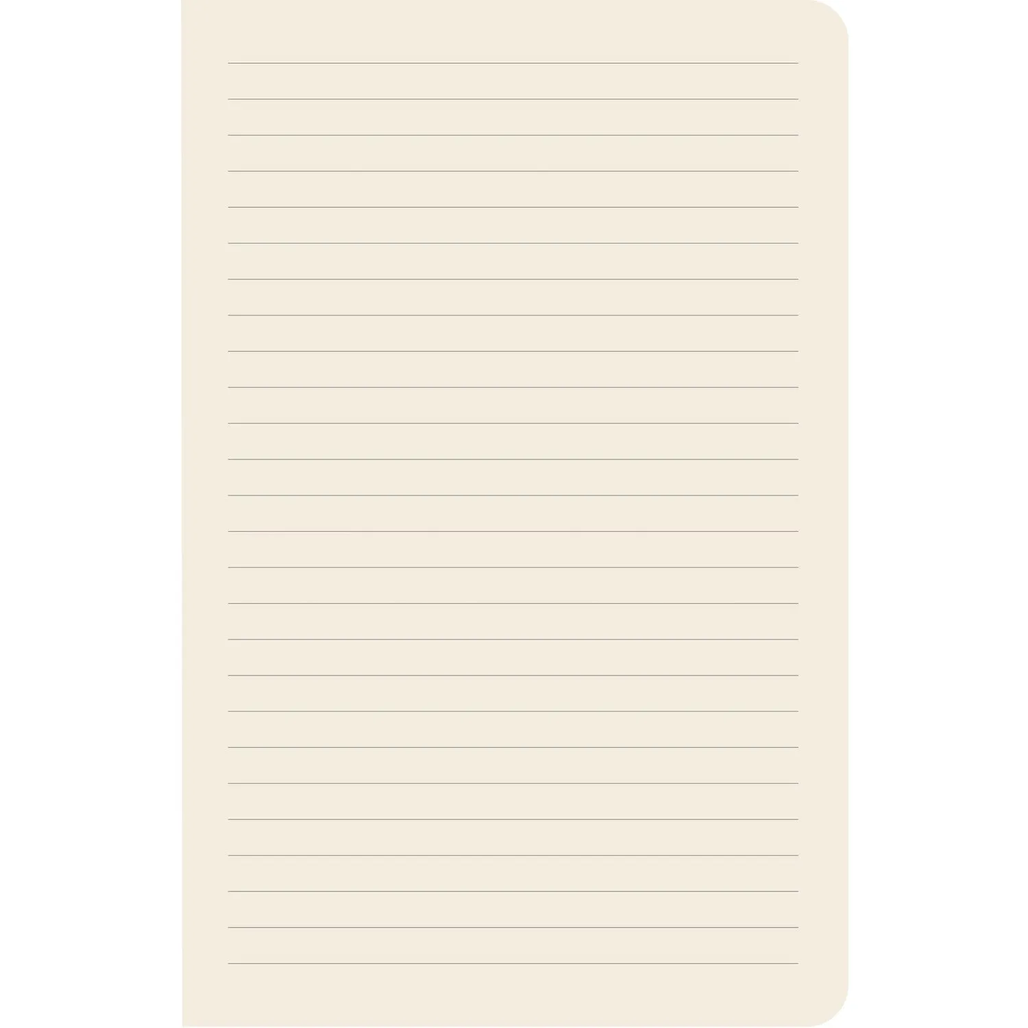 Hummingbirds Notebook