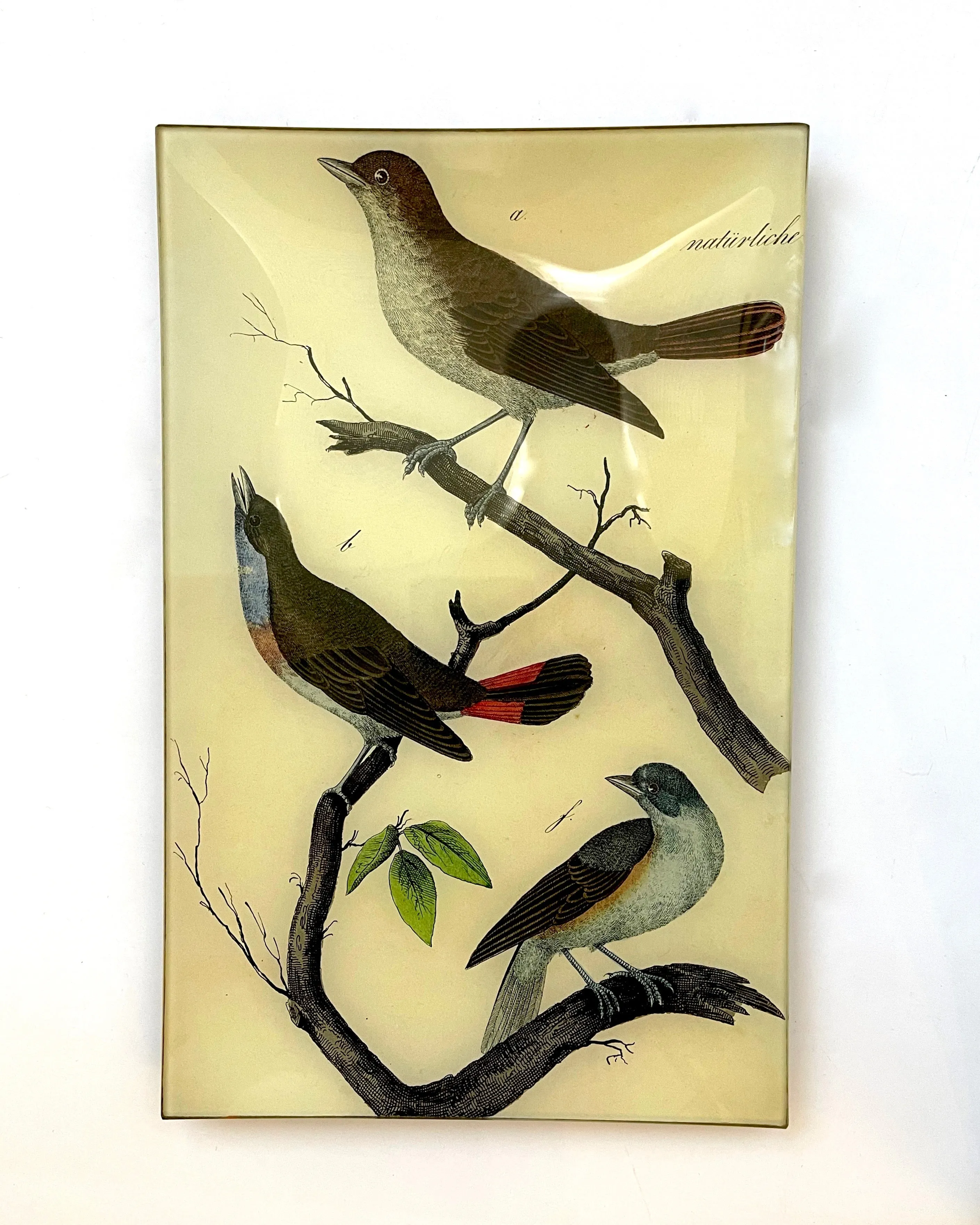 John Derian 9 x 14" Trays
