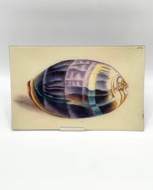 John Derian 9 x 14" Trays