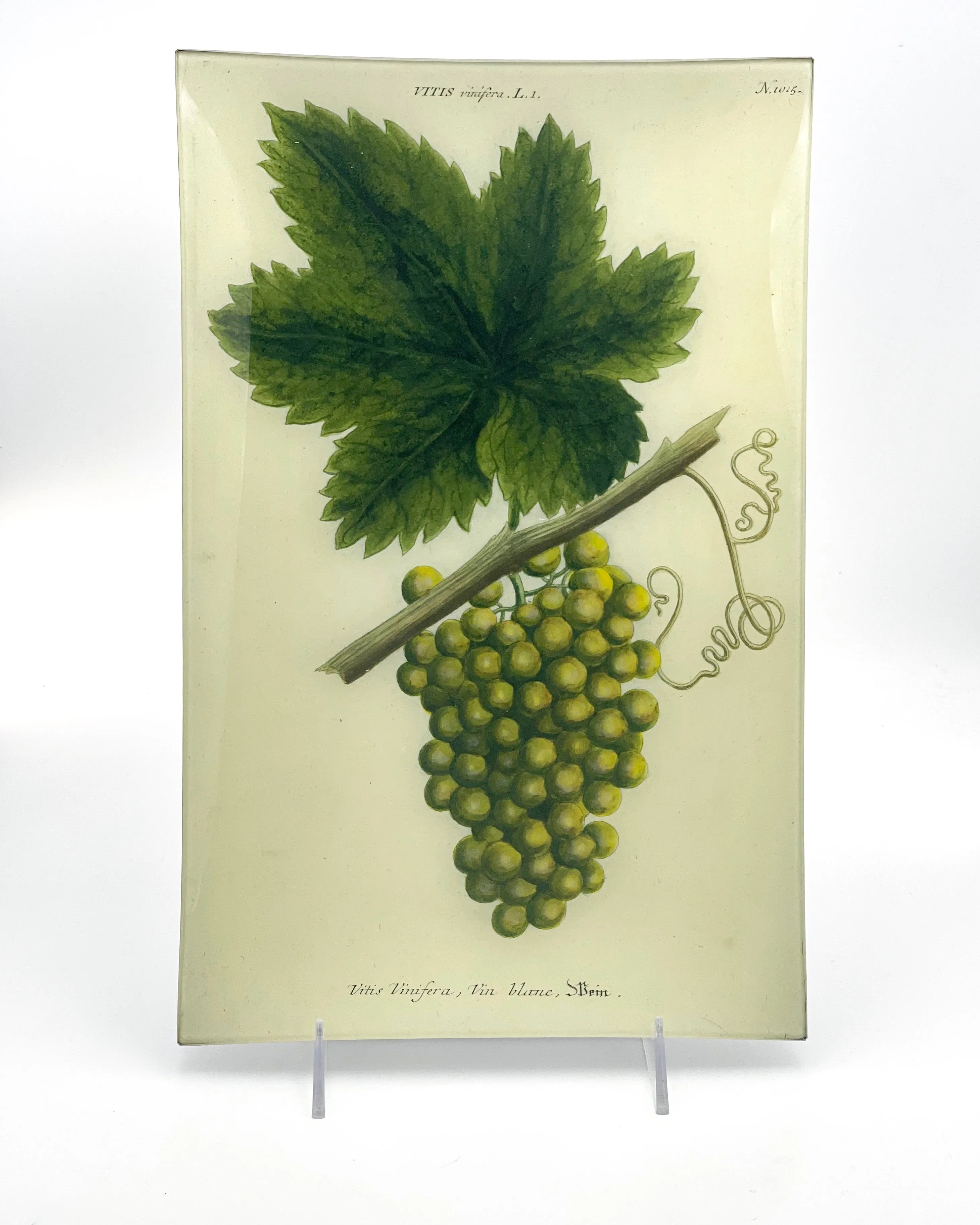 John Derian 9 x 14" Trays