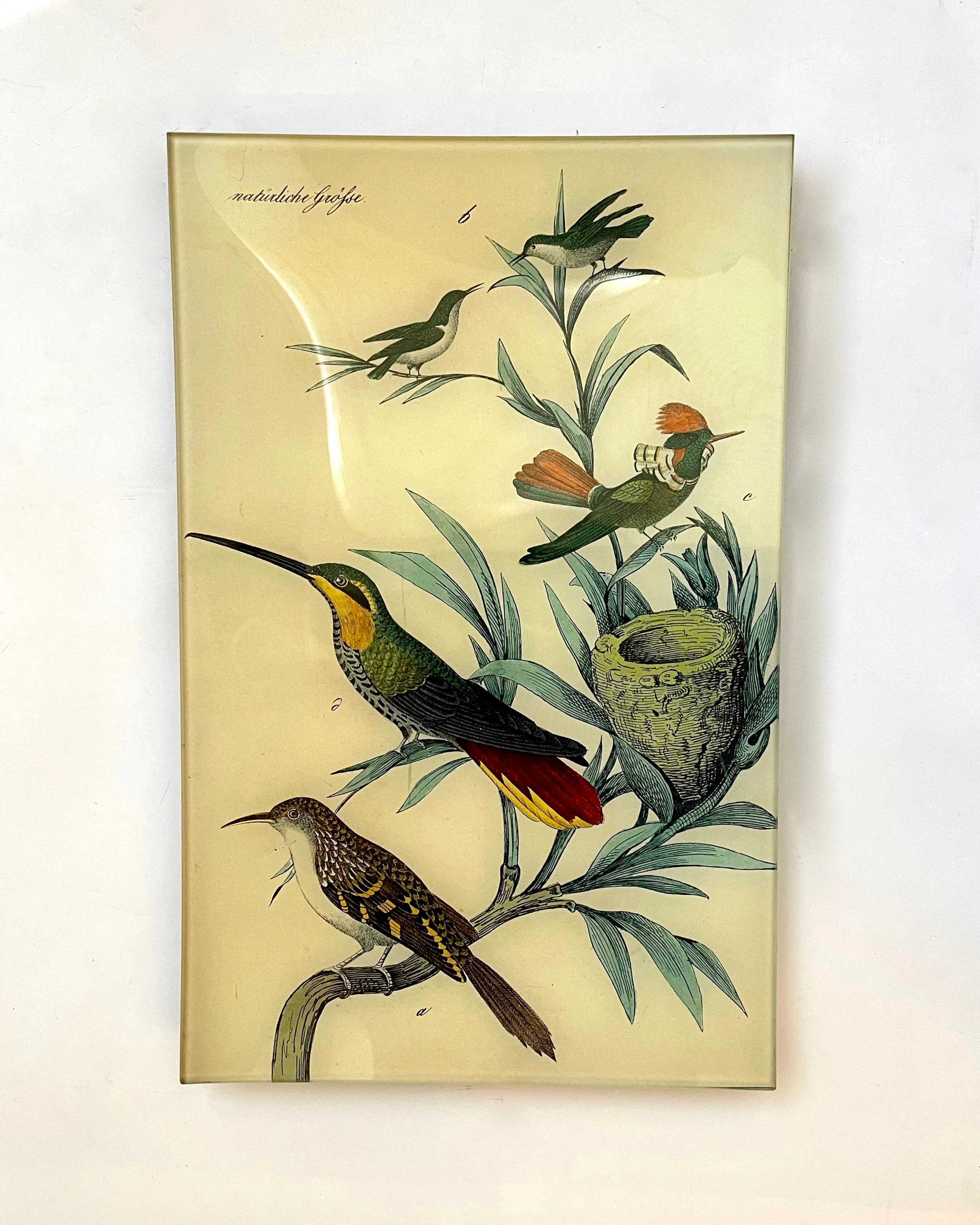 John Derian 9 x 14" Trays