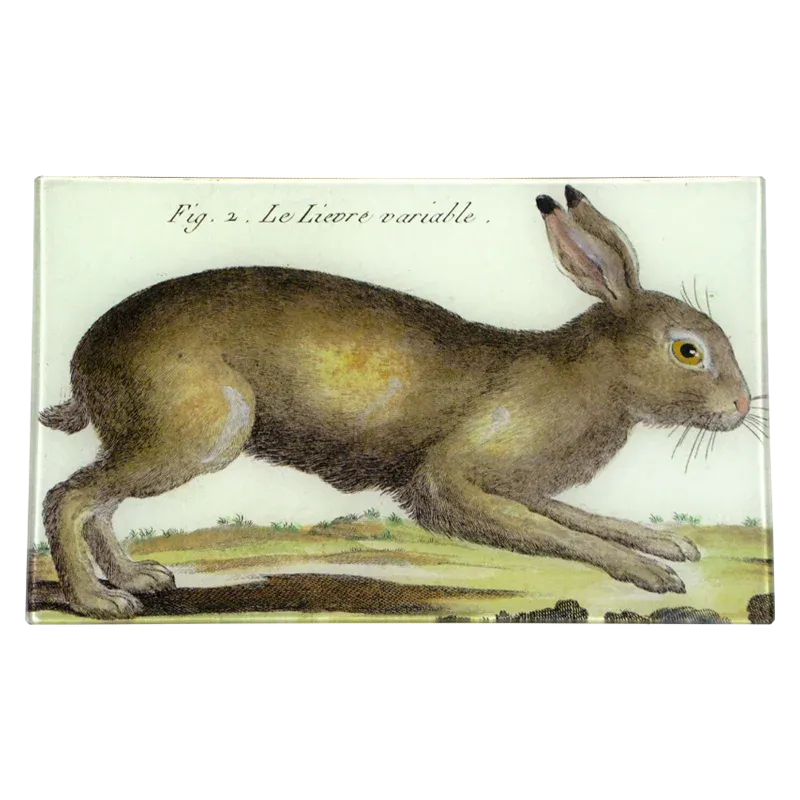 John Derian 'Rabbit' 7 x 11.5" Rectangle Tray