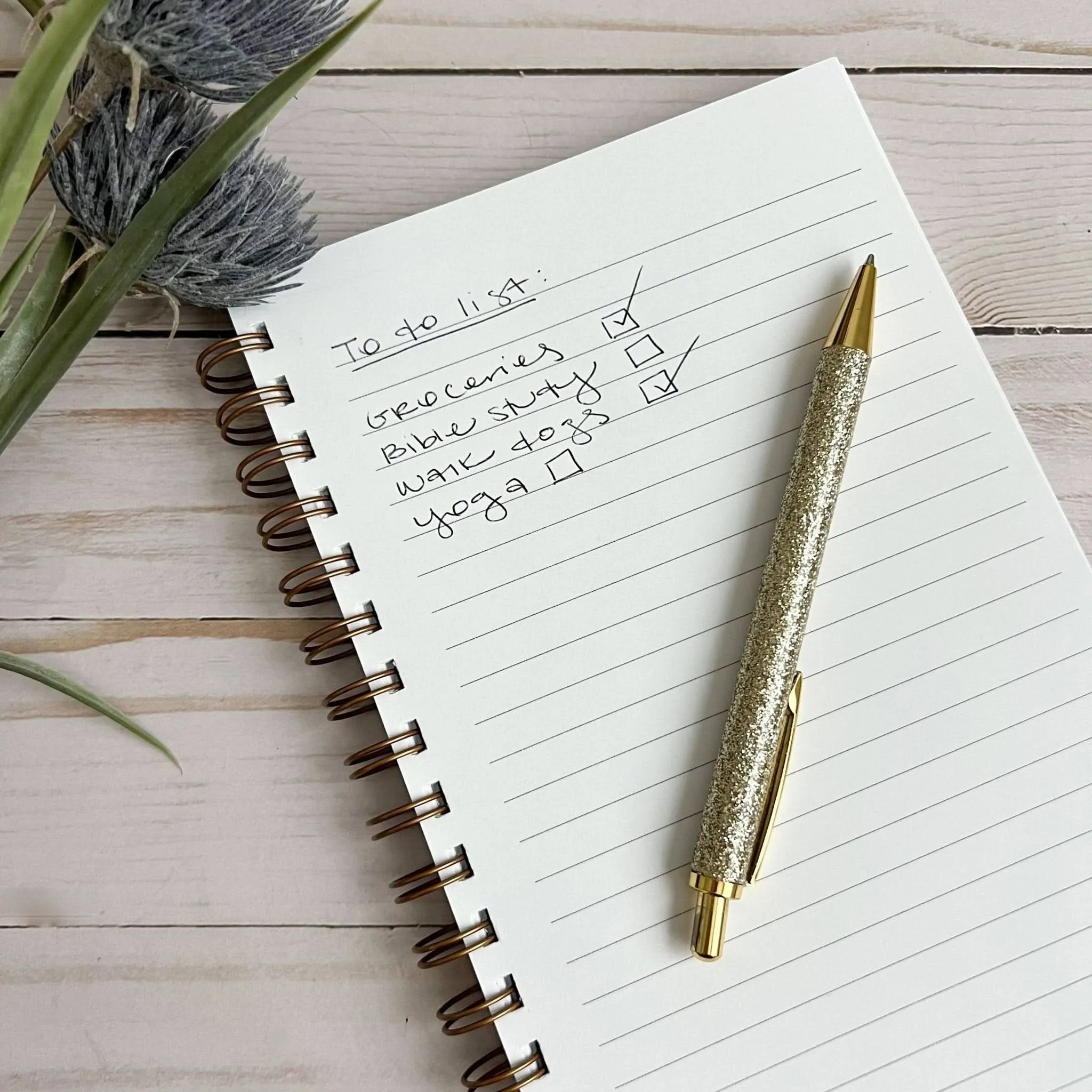 Keep on Shining Journal