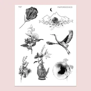 PAPERGEEK Clear Nature Lineart Stickers 197