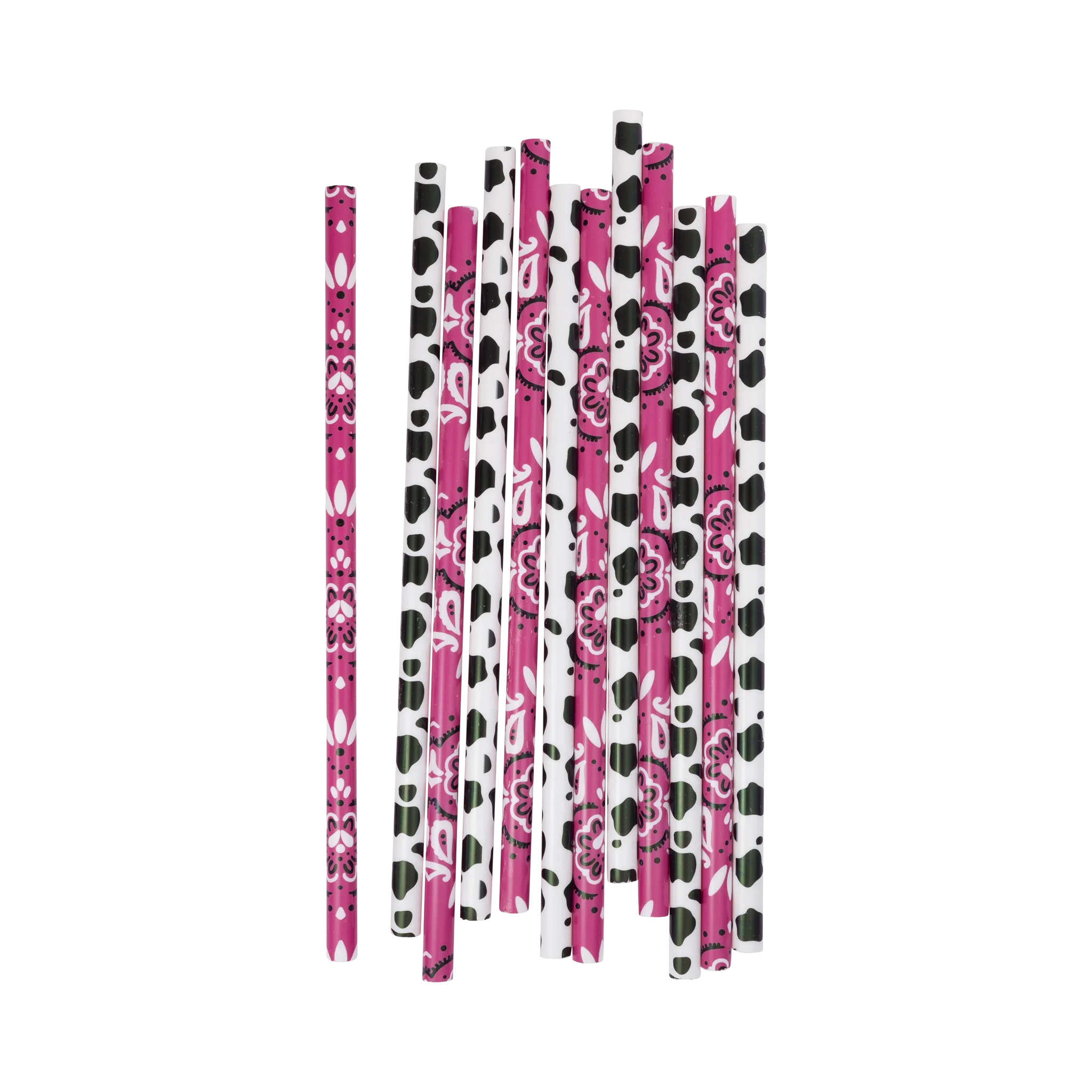 PLDSC16 - Cowgirl Reusable Straws