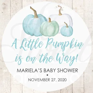 Pumpkin Baby Shower Favor Stickers, Boy Baby Shower Favor Stickers, Thank You Stickers, A Little Pumpkin Is On The Way - Set of 24 Stickers