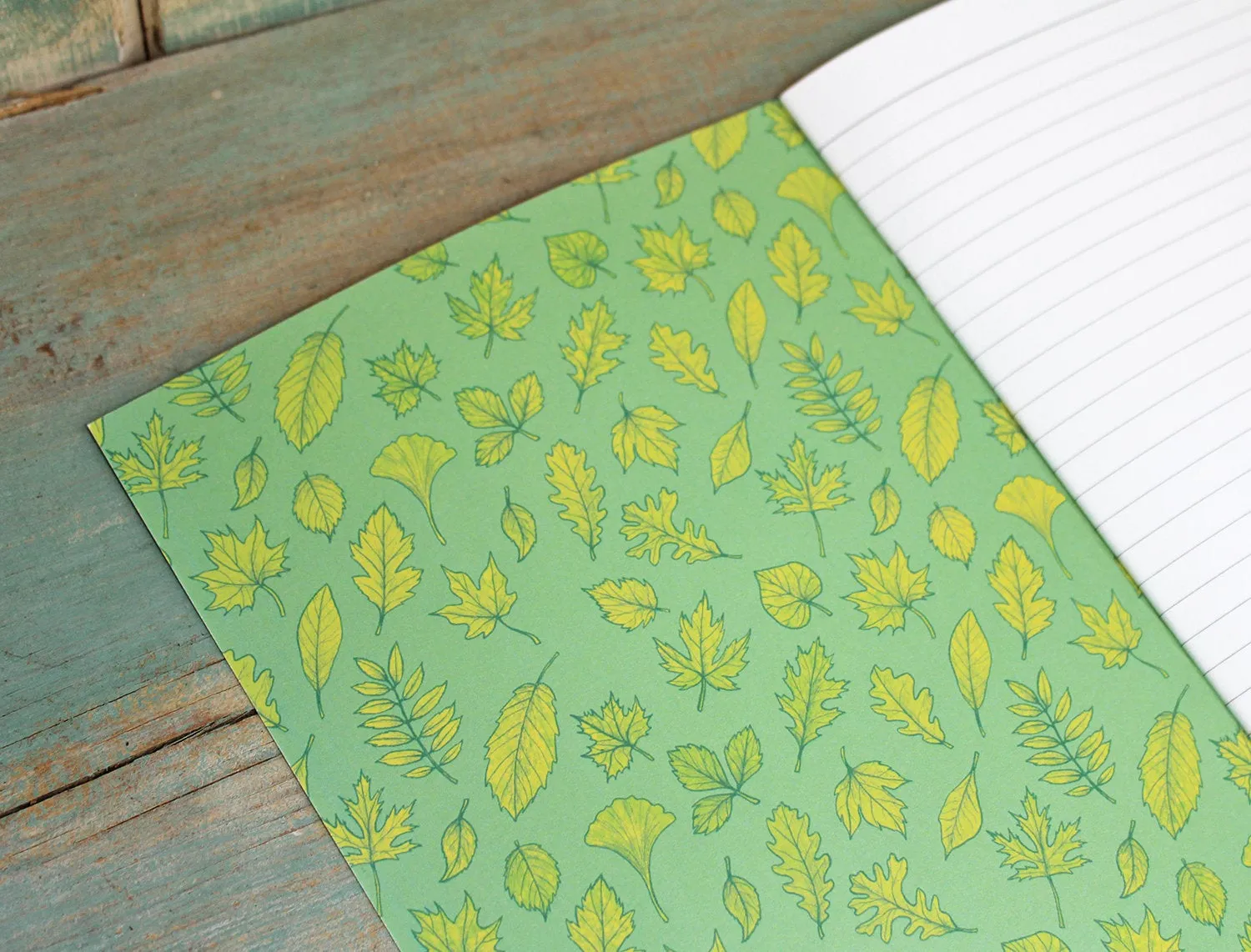 Red Squirrel Illustration Notebook