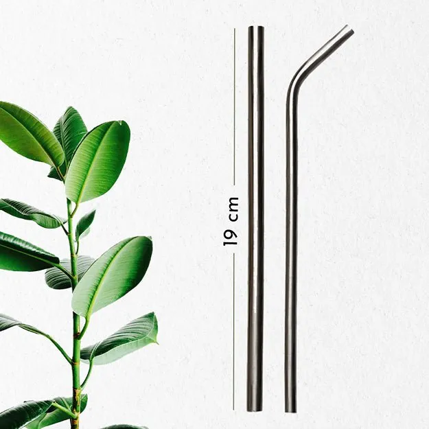 Reusable & Eco-friendly Stainless Steel Straws- Pack of 2