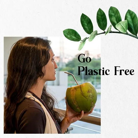 Reusable & Eco-friendly Stainless Steel Straws- Pack of 2