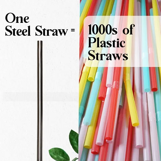 Reusable & Eco-friendly Stainless Steel Straws- Pack of 2
