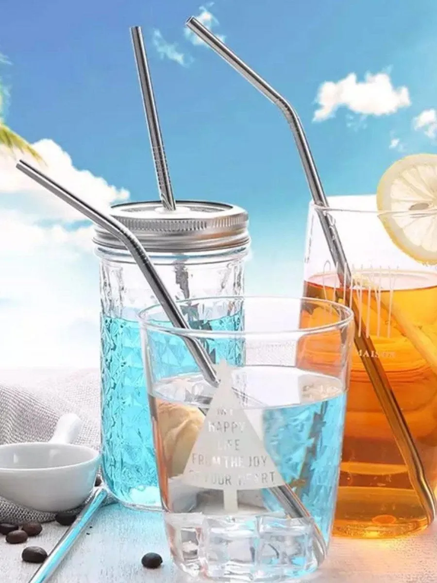 Stainless Steel Straws (4 Straight   4 Bent)