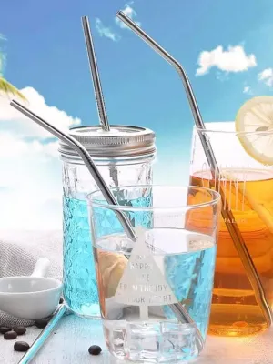 Stainless Steel Straws (4 Straight   4 Bent)
