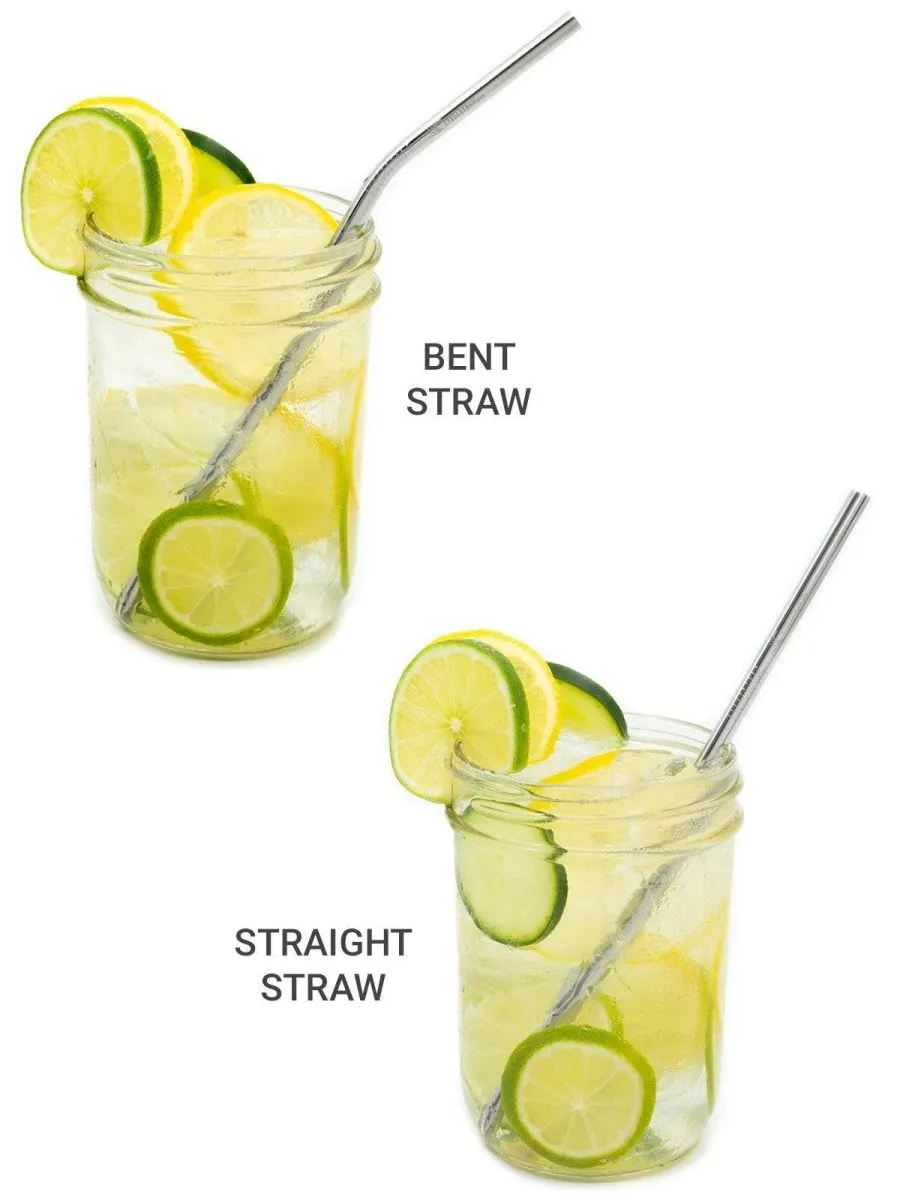 Stainless Steel Straws (4 Straight   4 Bent)