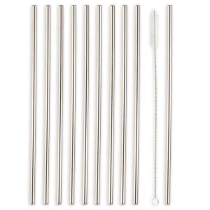 Stainless Steel Straws | Set of 10